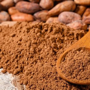 Organic Raw Criollo Rescue Cacao Powder - bulk or 250g tube