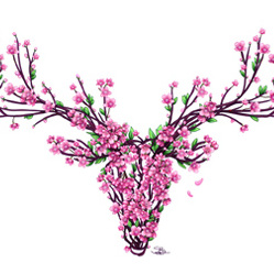 Ornamental Blossom - A3 Print
