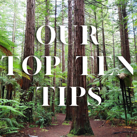 Our Top Ten Tips on how you can help NZ wildlife