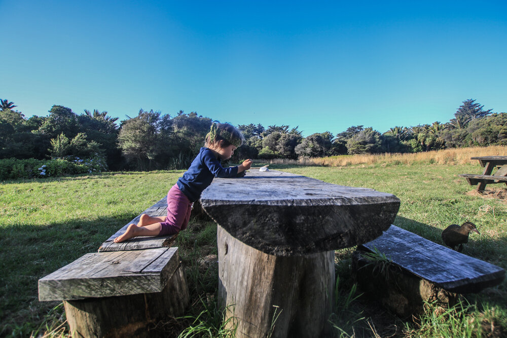 outside kahurangi keepers hut preschooler kids