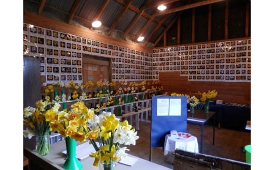 Interior of Daffodil Barn