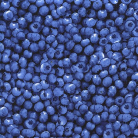 Packed Blueberries C1809-Blueberries