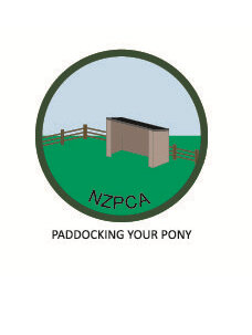 Paddocking your Pony L1 Green