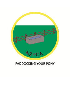 Paddocking your Pony L2 Yellow