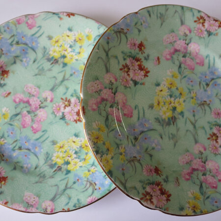 Pair of Tea Plates