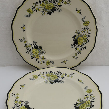 Pair of tea plates