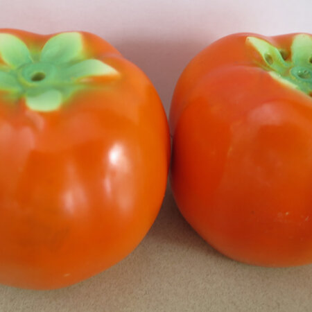 Pair of tomatoes