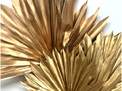 Palm Spear - Metallic Rose Gold or Gold