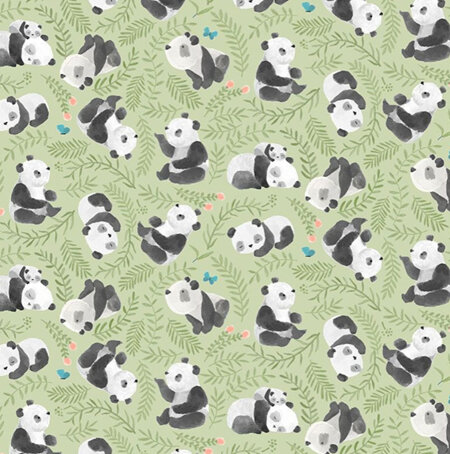 Panda-Monium Bearly Awake Celery 2167