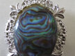 Paua shell brooch