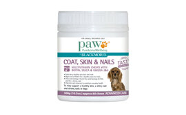 PAW Coat Skin Nails Chews 300g