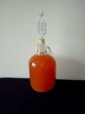 Peach and plum wine during fermentation