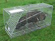 peacock cage trap