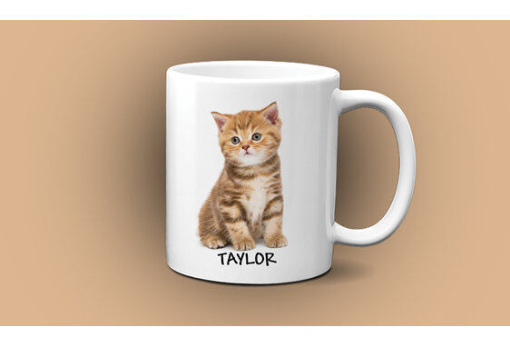 personalised kitten mug