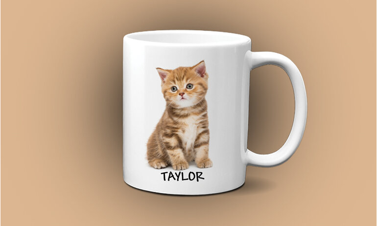 personalised kitten mug