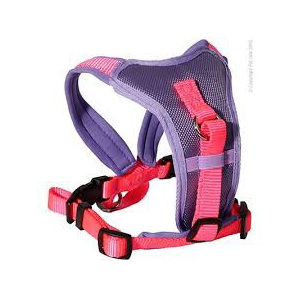 Pet One Comfy Padded Harness Pink & Purple