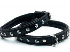 Pet One - Single Row Studded Leather Collars