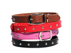 Pet One - Single Row Studded Leather Collars