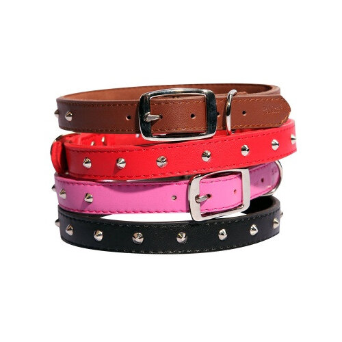 Pet One Studded Single Row Collar - Red