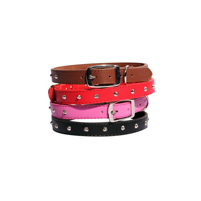 Pet One Studded Single Row Collar - Red