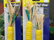 Pet One - Veggie Rope Corn Chews