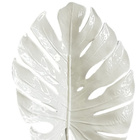 Philodendrum leaf 4299