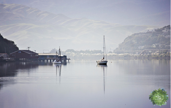 Photography, Reflections, Water, Harbour, NZ Photography, NZ, Porirua, Welly NZ,