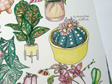 Pink Botanicals Edition 2