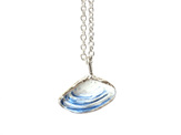 pipi shell sterling silver necklace pendant white blue nautical ocean beach