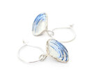 pipi shells sterling silver earrings hoop white blue lilygriffin nz gift beach