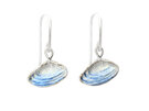 pipi shells sterling silver earrings white blue nautical ocean lilygriffin nz