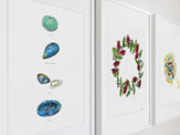 "Pohutukawa Wreath" Prints and Greeting cards