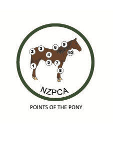 Points of the Pony L1 Green