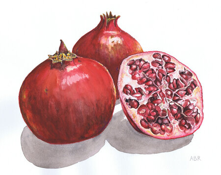 Pomegranates (large)