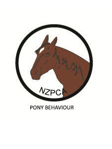 Pony Behaviour Black