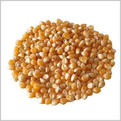 Popping Corn Organic Approx 100g