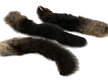 Possum Tail with Fur