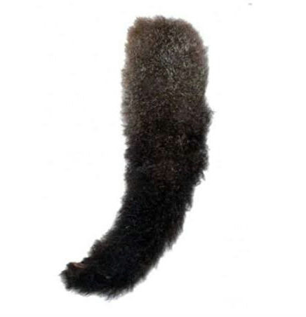 Possum Tail with Fur