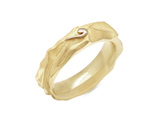 Pouakai - Mens wedding ring from The Narrative Collection