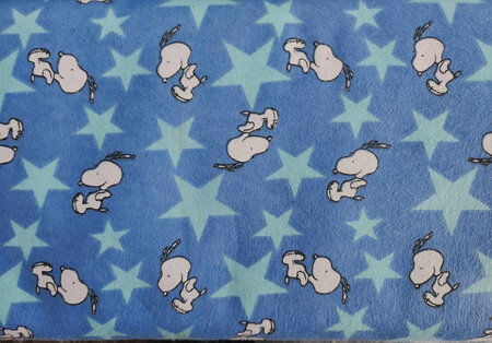 Printed Wincy - Snoopy