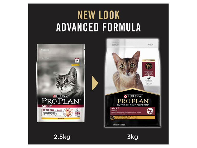 PRO PLAN Adult Chicken Formula Dry Cat Food