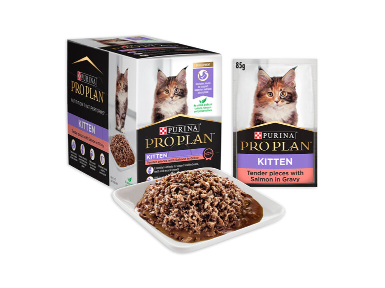 PRO PLAN Kitten Salmon in Gravy Wet Cat Food