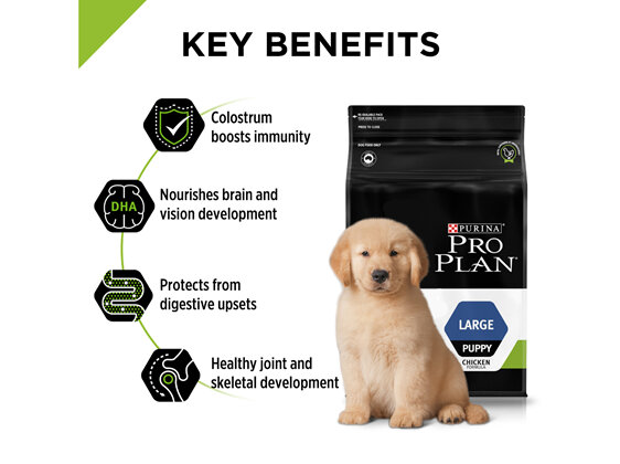 PRO PLAN Puppy Large Formula with Colostrum Dry Dog Food