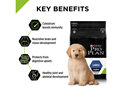 PRO PLAN Puppy Large Formula with Colostrum Dry Dog Food