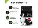 PRO PLAN Puppy Medium Formula with Colostrum Dry Dog Food