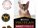 Proplan Cat Adult Salmon