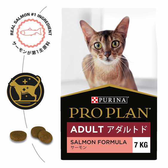 Proplan Cat Adult Salmon