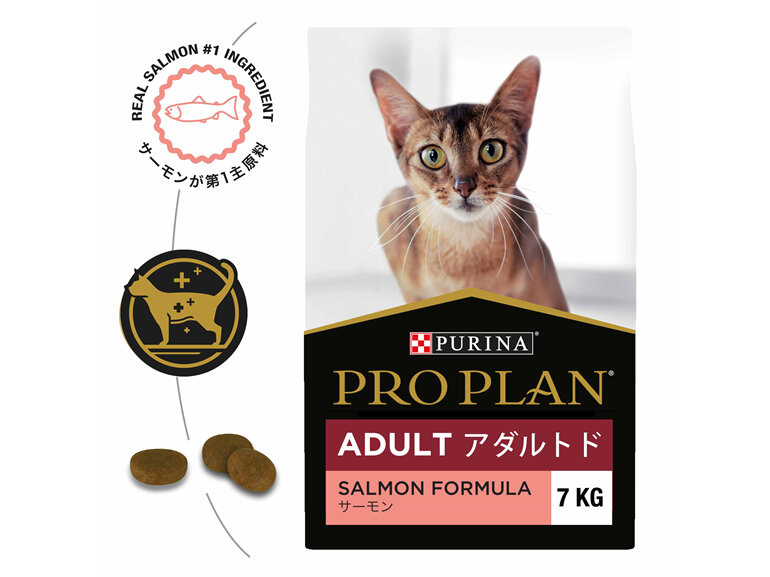 Proplan Cat Adult Salmon