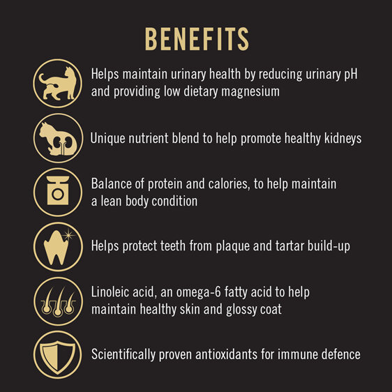 Proplan Cat Urinary Focus