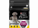 Proplan Dog M&L/B 7+ Bright Mind